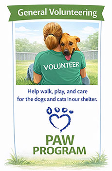 General Volunteering - Help walk, play, and care for the dogs and cats in our shelter.
