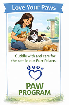 Love Your Paws - Cuddle with and care for the cats in our Purr Palace.
