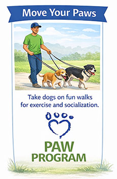 Move Your Paws - Take dogs on fun walks for exercise and socialization.